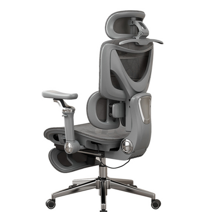 Ergonomic Office Chair with Lumbar Support
